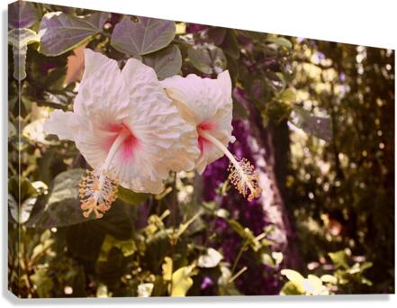My Flower Canvas Print