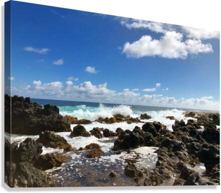 The Other Side Canvas Print