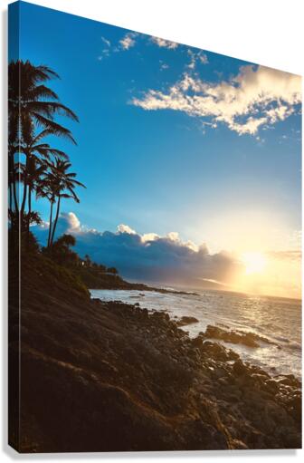 Dreamlight Canvas Print