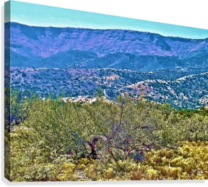 Jerome-2 Canvas Print