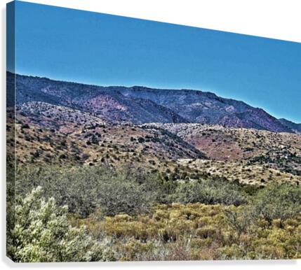 Jerome-1 Canvas Print