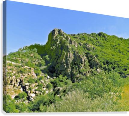 Jerome-3 Canvas Print