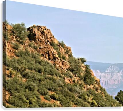 Jerome-5 Canvas Print