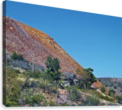 Jerome-4 Canvas Print