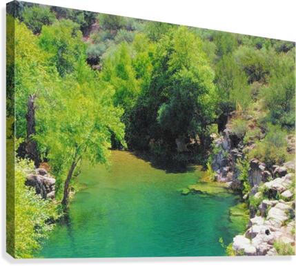Pond Canvas Print