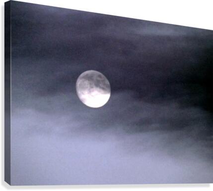 Full Moon Canvas Print