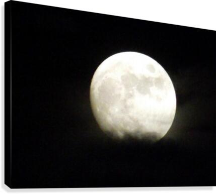Shine On Canvas Print