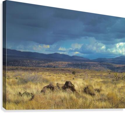 Storms Comin' Canvas Print