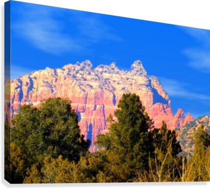 Such A View Canvas Print