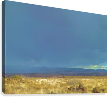 The Storm Canvas Print