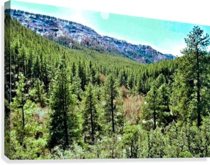 Senic  Canvas Print