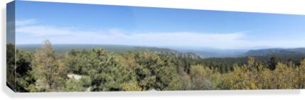 From the Forest Canvas Print