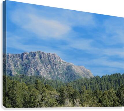 Senic Canvas Print