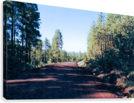 A Road Through Canvas Print