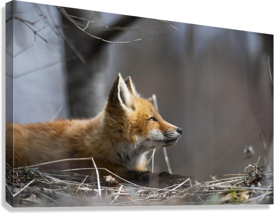 Hope Canvas Print