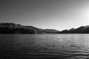 The Lake