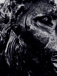 The Lion