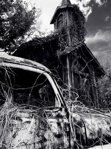 Nature Consumes