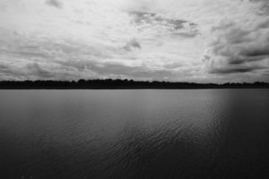 Dark Waters
