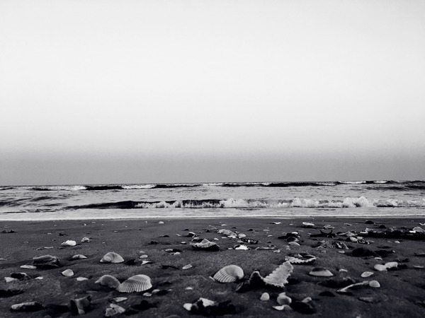 Shells and Sky  Print