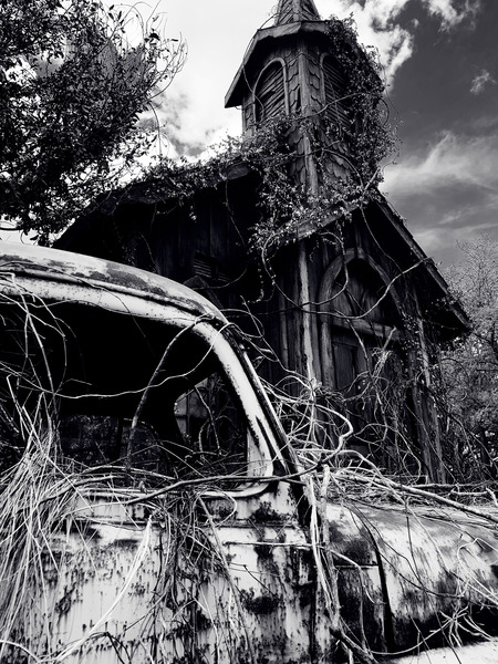 Nature Consumes  Print