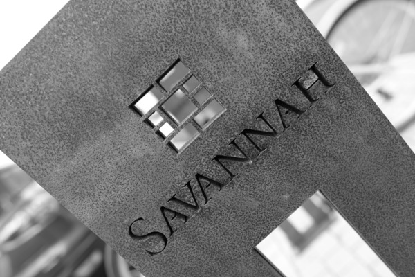 Savannah  Print