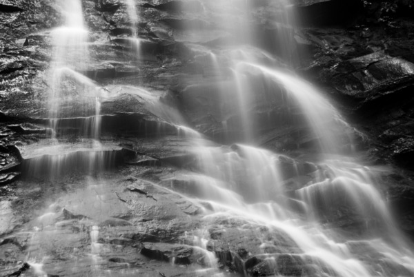 Nature Always Working by Adam Caudill