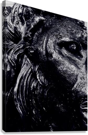 The Lion  Canvas Print