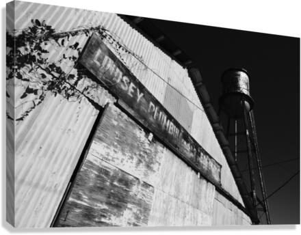Lindsey’s Bygone Dreams  Canvas Print