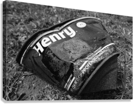 Henry  Canvas Print