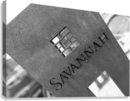 Savannah  Canvas Print