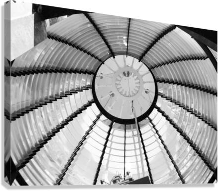 The Lens  Canvas Print