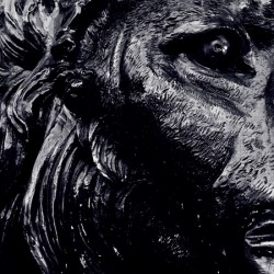 The Lion