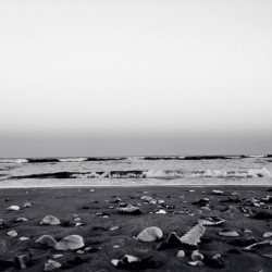 Shells and Sky