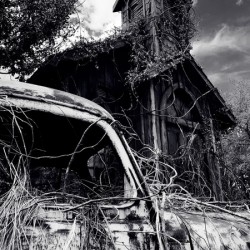 Nature Consumes