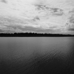 Dark Waters