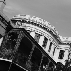 Southern Beauty