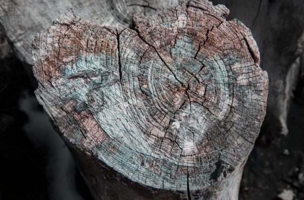 Rustic Log Print