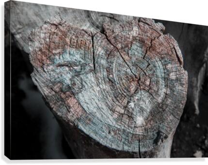 Rustic Log Canvas Print