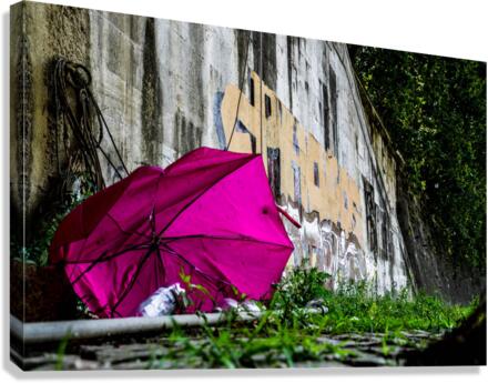 Rain Shield Canvas Print