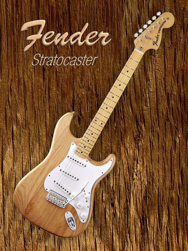 American Fender Stratocaster by shavit mason
