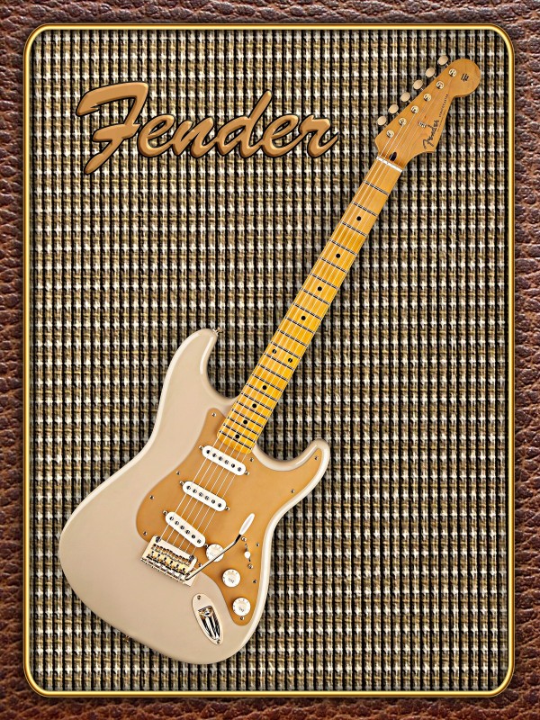 Fender Stratocaster Classic Player Print