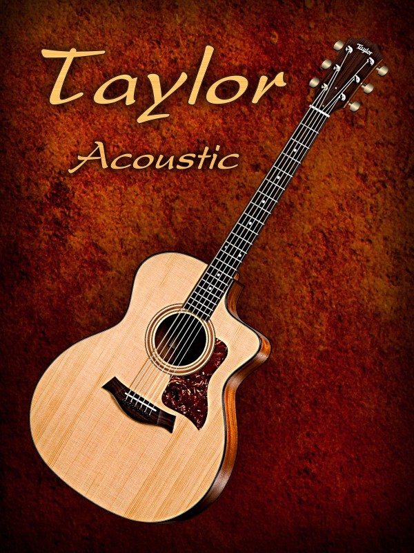 Wonderful Taylor Acoustic Guitar  by shavit mason