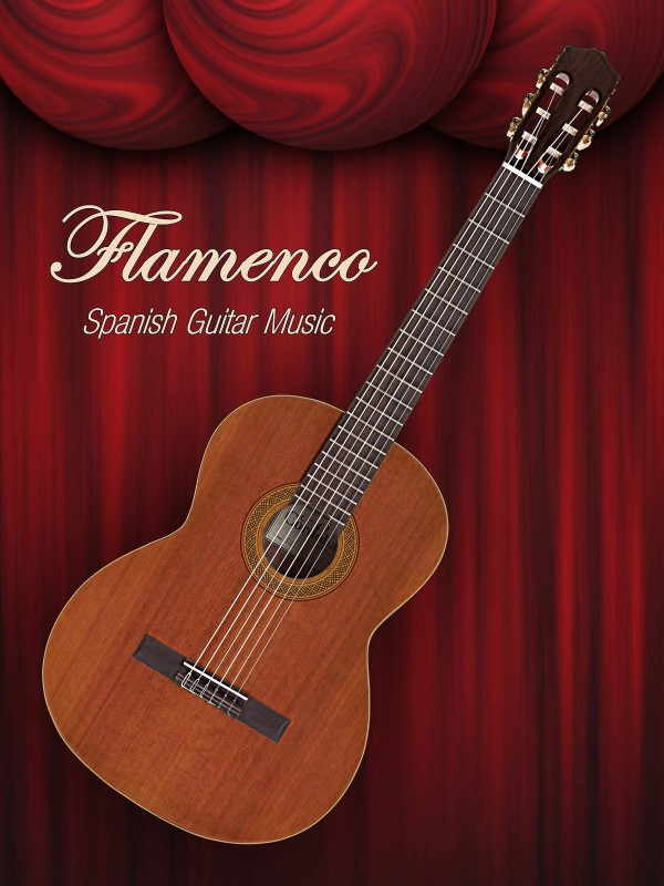 Flamenco Spanish Guitar Music by shavit mason