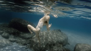 In tropical waters