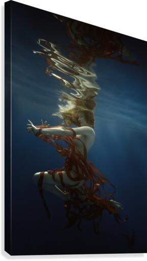 Gravity Games Canvas Print