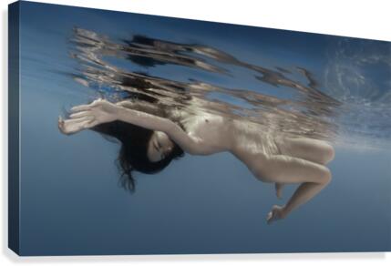 Bliss Canvas Print
