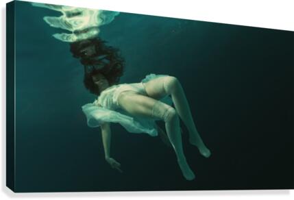 Blue elements Canvas Print