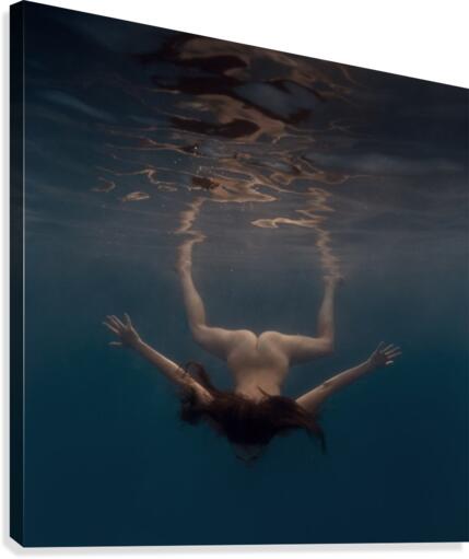 Diving Canvas Print