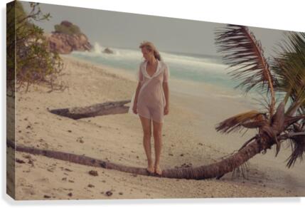 Wild beach Canvas Print